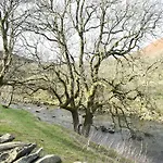 Mount Cottage-uk42230 Low Borrowbridge